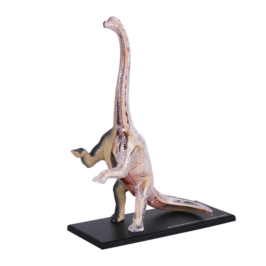 Đồ Chơi Mô Hình Giải Phẫu 4D - Khủng Long Brachiosaurus 4D Master 622015