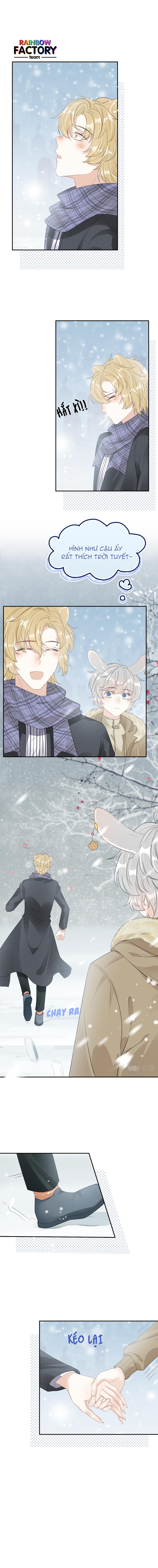 ăn một bé thỏ chapter 49 4