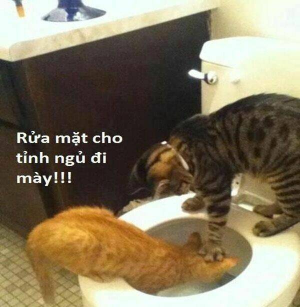 just troll chapter 31 7