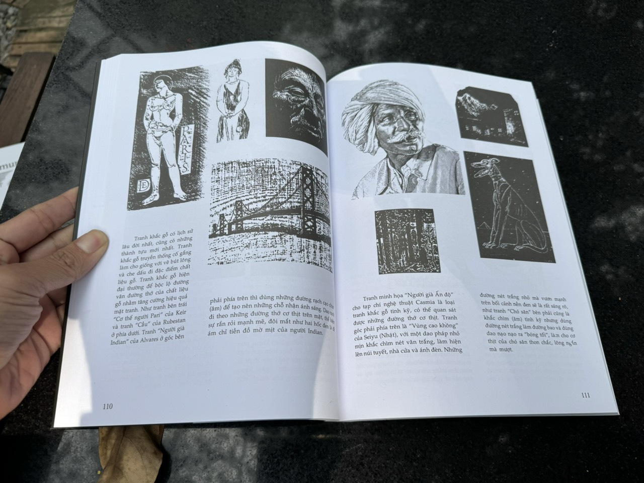 [Ấn bản 2023 – Ảnh minh họa] NGUYÊN LÝ HỘI HỌA ĐEN TRẮNG – Vương Hoằng Lực – Võ Mai Lý dịch – Văn Lang Books