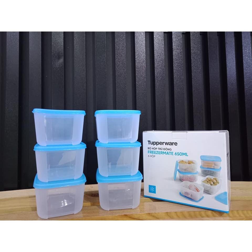 Bộ Hộp Trữ Đông Freezermate 650ml 6 Hộp Tupperware, Hộp Trữ Thực Phẩm, Nhựa Nguyên Sinh An Toàn