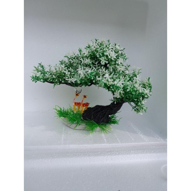 Bonsai bể cá cảnh - cây trang trí hòn non bộ tiểu canh-cây để bàn