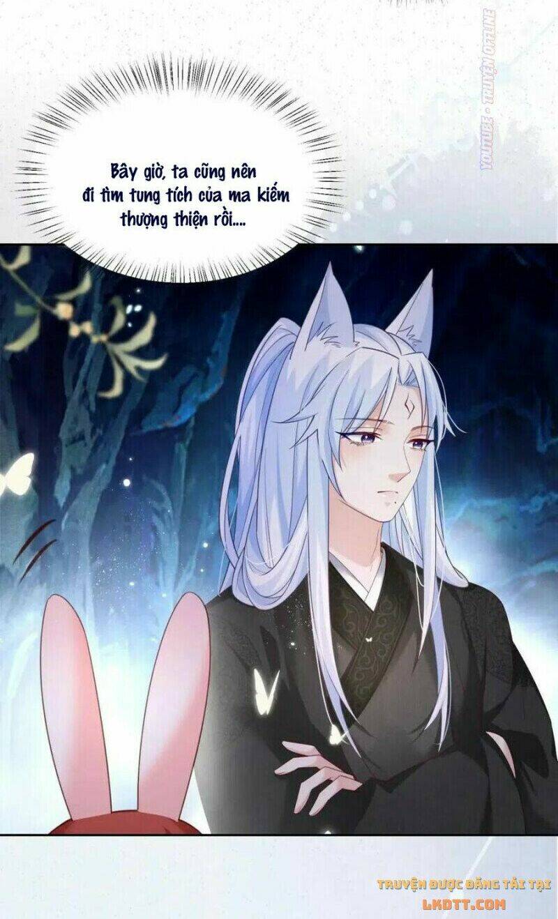 hắc hóa nam chính trực tuyến nuôi thỏ chapter 52 11