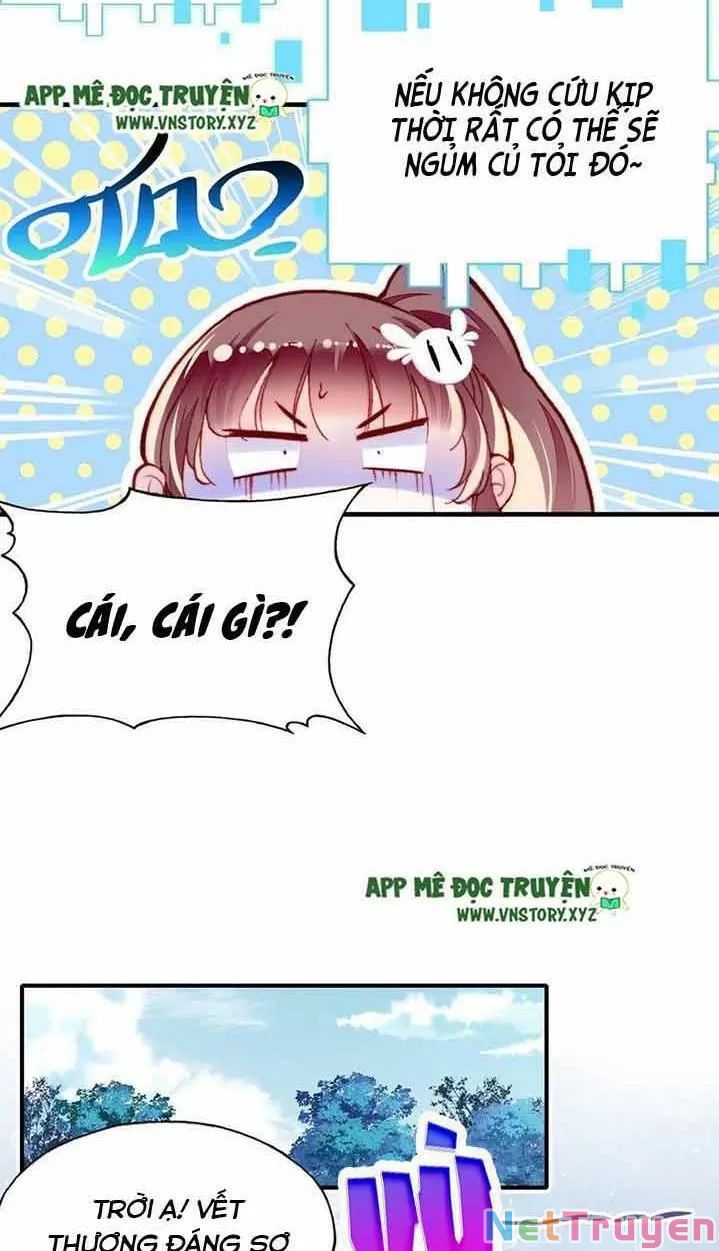 lại bị bệnh chiều chuộng quấn lấy chapter 15 9