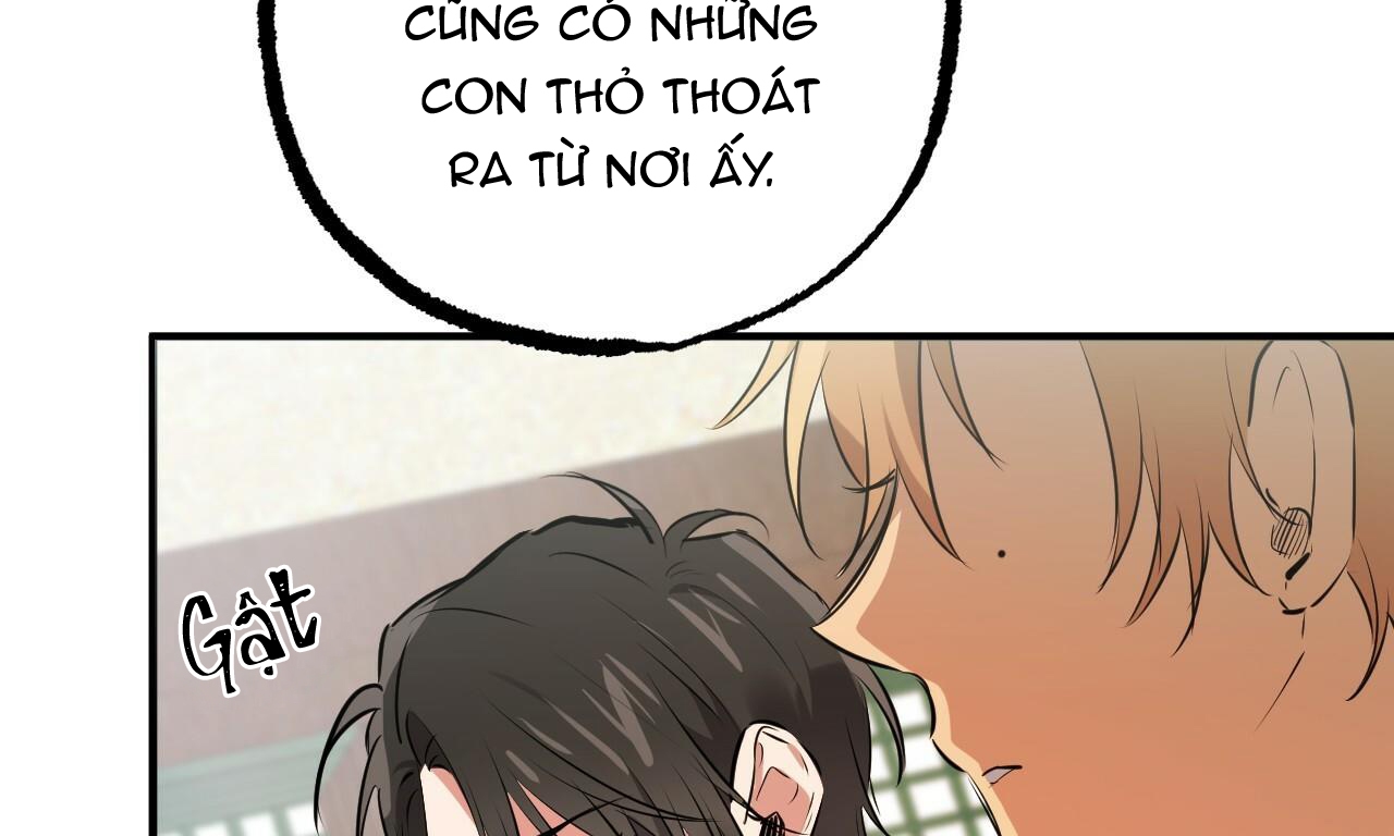 đàn thỏ của habibi chapter 40 80