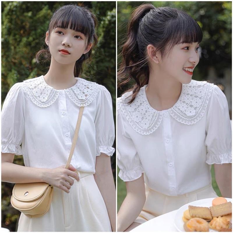 Áo sơ mi trắng phối cổ ren style Hàn hàng thiết kế