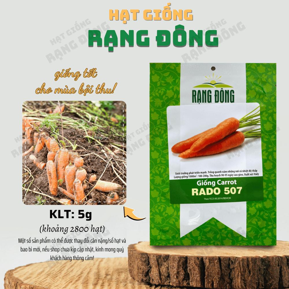 Hạt giống Củ nảy mầm tốt, sinh trưởng khỏe, trồng được quanh năm, dễ chăm sóc - Hạt giống Rạng Đông