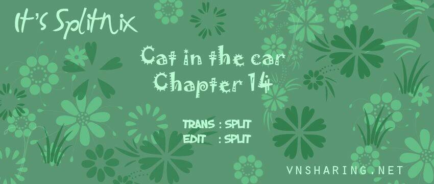 cat in the car chapter 14 1