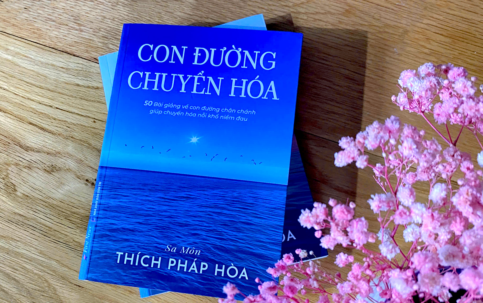 Con Đường Chuyển Hóa - Thích Pháp Hòa - First News