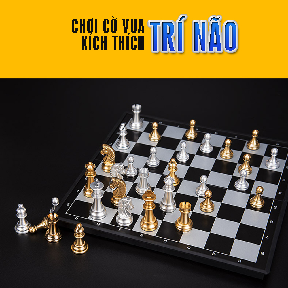 Bộ cờ vua nam châm chính hãng, kích thích phát triển trí não, thể thao trí tuệ, Kích thước: Lớn, vừa, nhỏ - Dan House