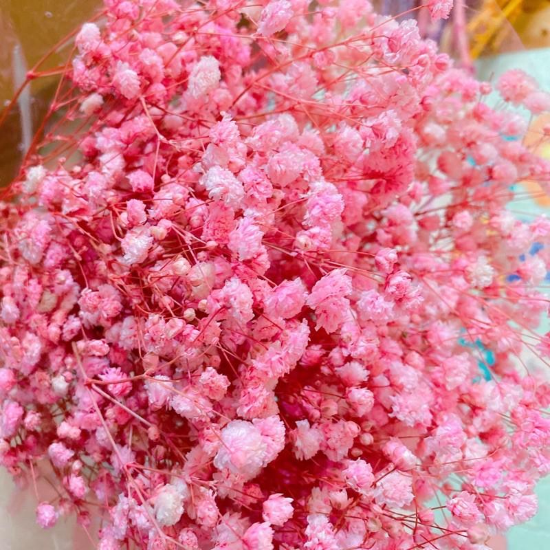 Hoa Baby Bloom Gypsophila hoa khô trang trí nhà cửa, văn phòng