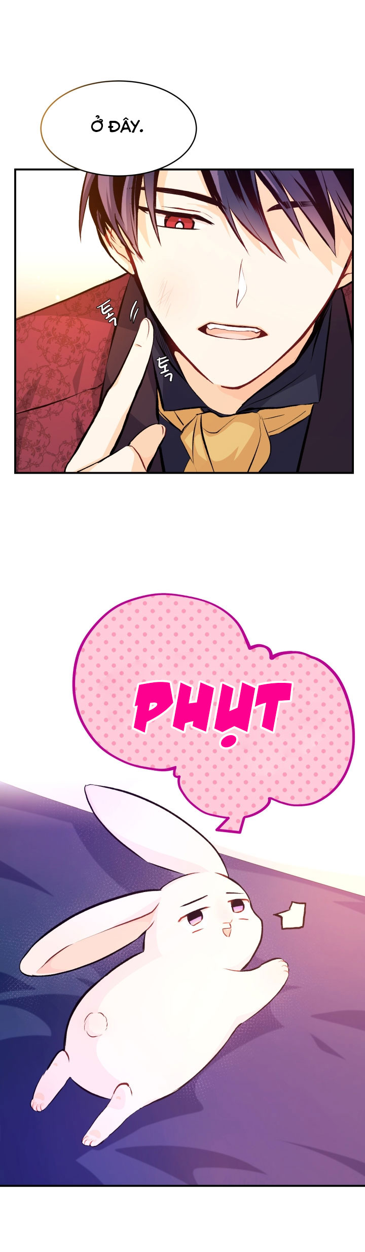 mối liên kết giữa báo đen và bé thỏ chapter 5 46