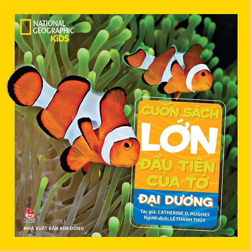 Combo 05 Cuốn sách lớn đầu tiên của tớ: Khủng long, Động vật, Đại dương, Vũ trụ, Chim