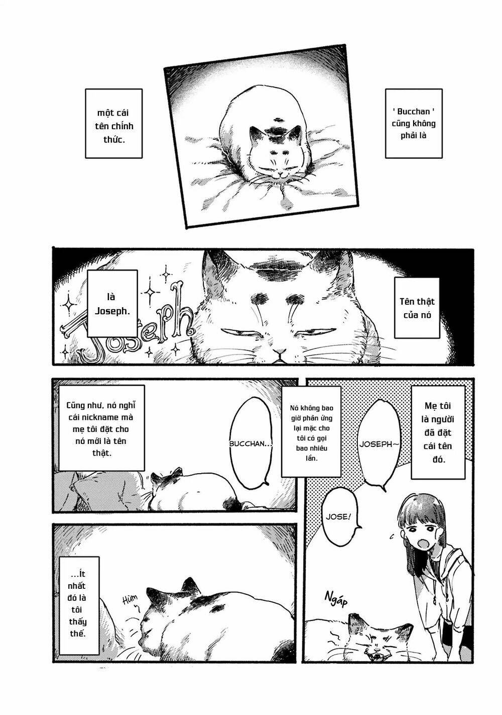 nekodamari chapter 9 5
