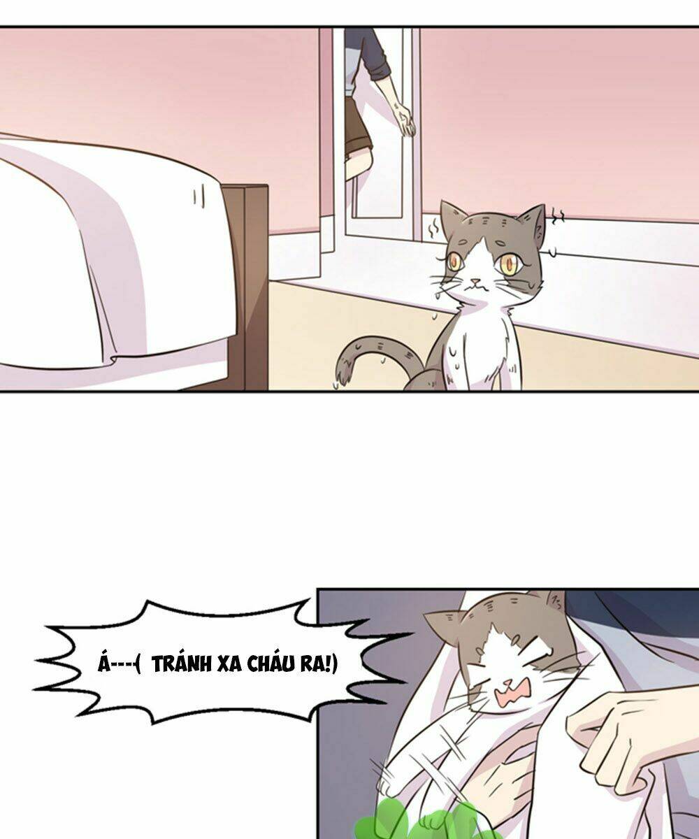 hai chú mèo totem chapter 18 14