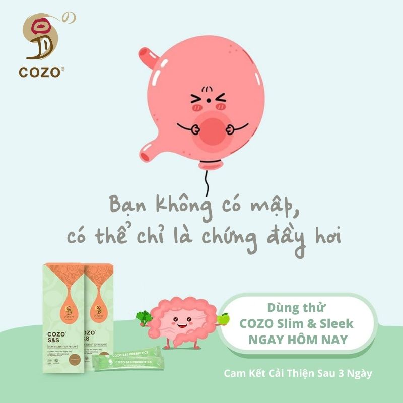 Bột Hỗ Trợ Kiểm Soát Cân Nặng, Phân Hủy Chất Béo Cozo Slim Sleek, Chống Phản Ứng Đường Hóa, Giúp Cơ Thể Thải Độc, Da Đẹp Dáng Xinh