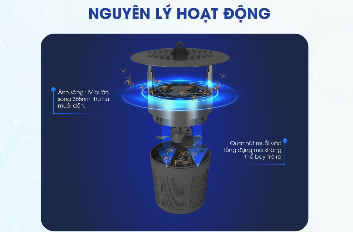 Đèn bắt muỗi Rạng Đông DBM01 5W - Chính Hãng