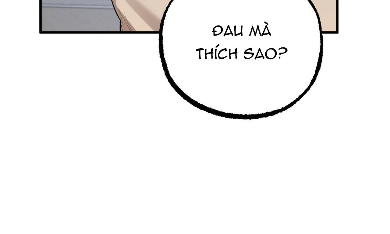 đàn thỏ của habibi chapter 27 246