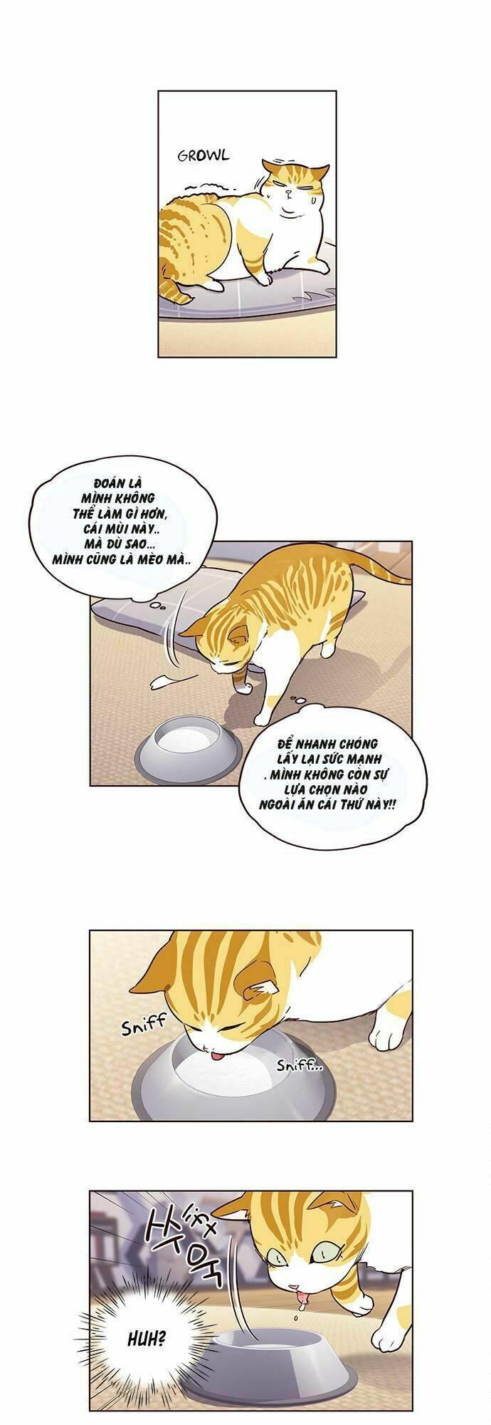 biến thân thành mèo chapter 1 35