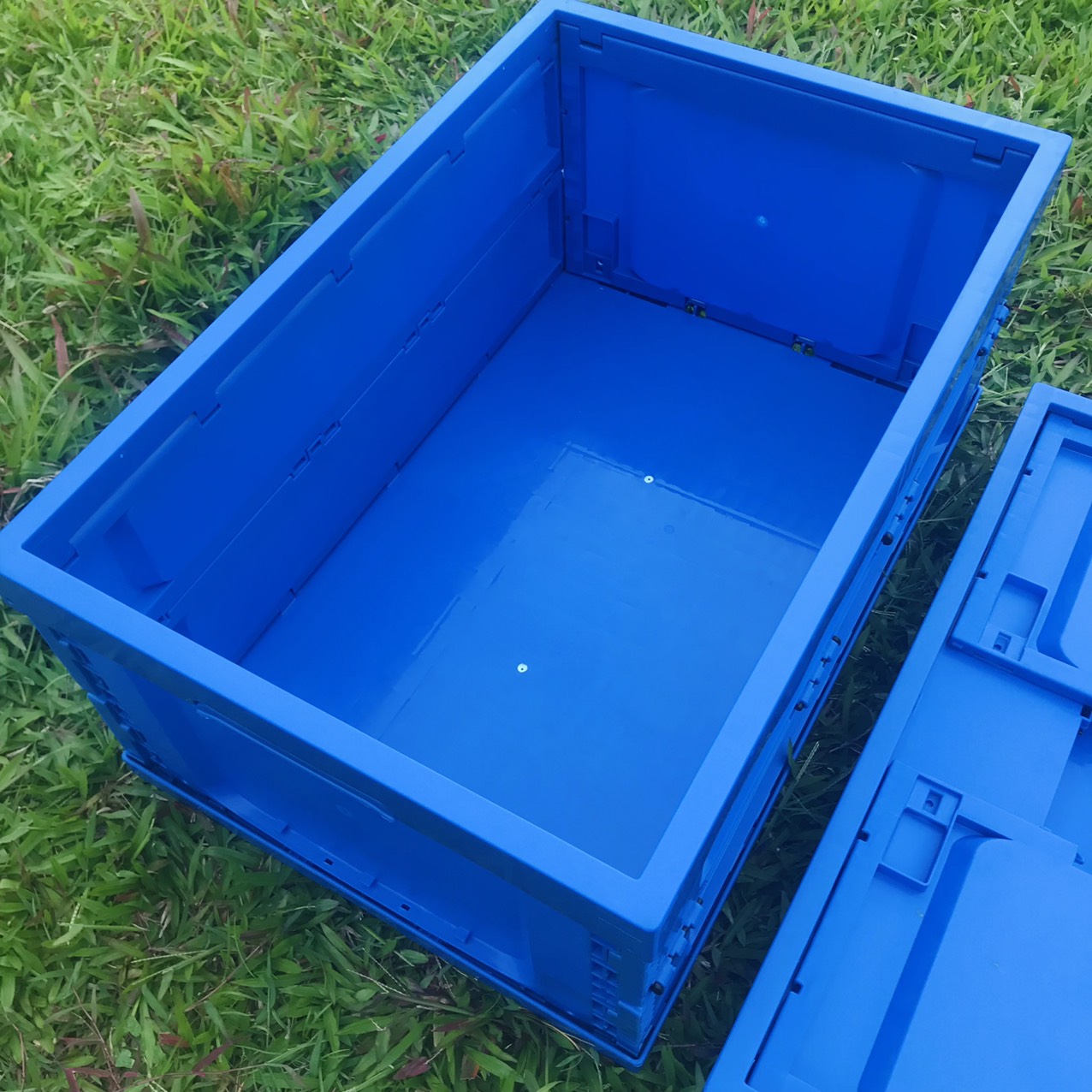 Thùng Đựng Đồ 65L Loại Siêu Dày - Hộp Để Đồ Gấp Gọn Đa Năng , Để Cốp Sau Ô Tô - Tiện Lợi , Nhựa PP Cao Cấp