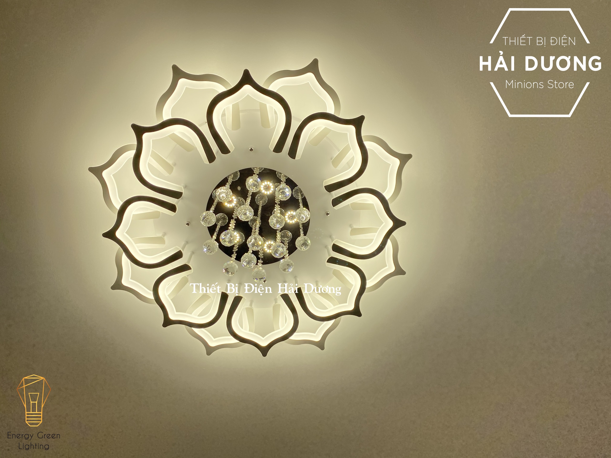 Đèn LED ốp trần hình hoa sen pha lê lấp lánh 16 cánh NT-033 - 3 Chế độ ánh sáng - Có điều khiển từ xa - Có Video