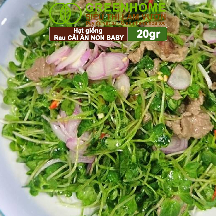 Hạt Giống Rau Cải Ăn Non Greenhome, Gói 20g, Dễ Trồng Quanh Năm, Nảy Mầm Cao, Thu Hoạch Nhanh, Năng Suất Cao R05