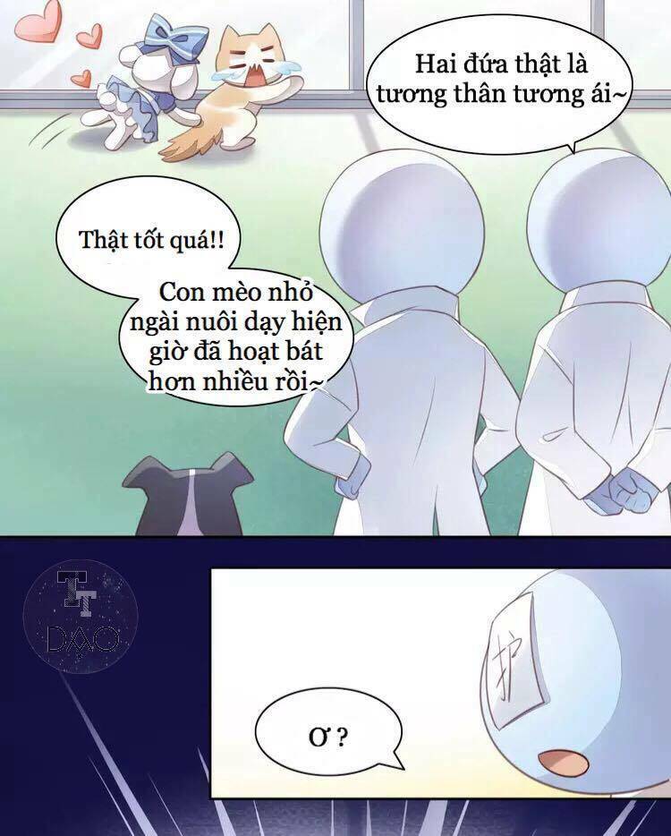 dưới móng vuốt mèo chapter 17 92