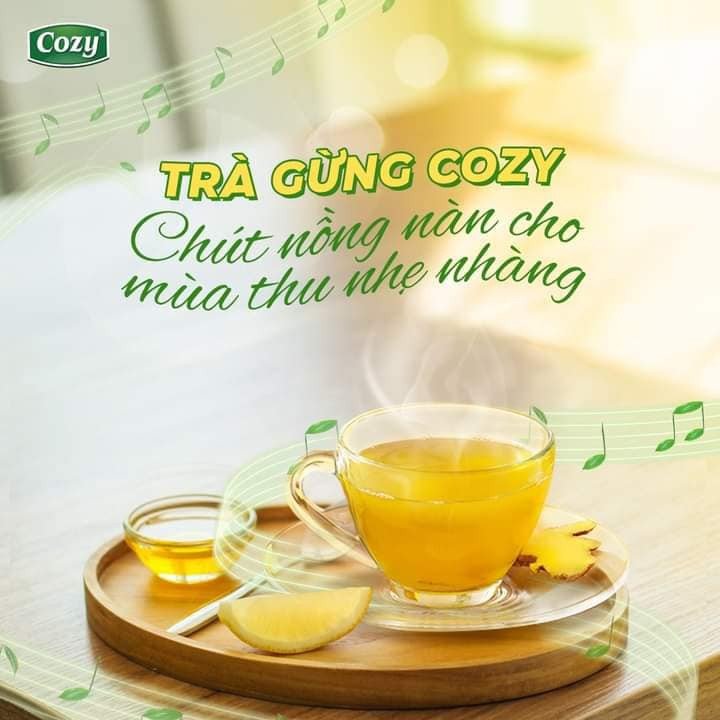 Cozy Trà gừng Hotginger 10 gói x 10g Hộp