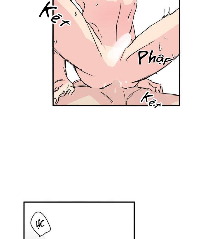 bố đường chapter 1 5