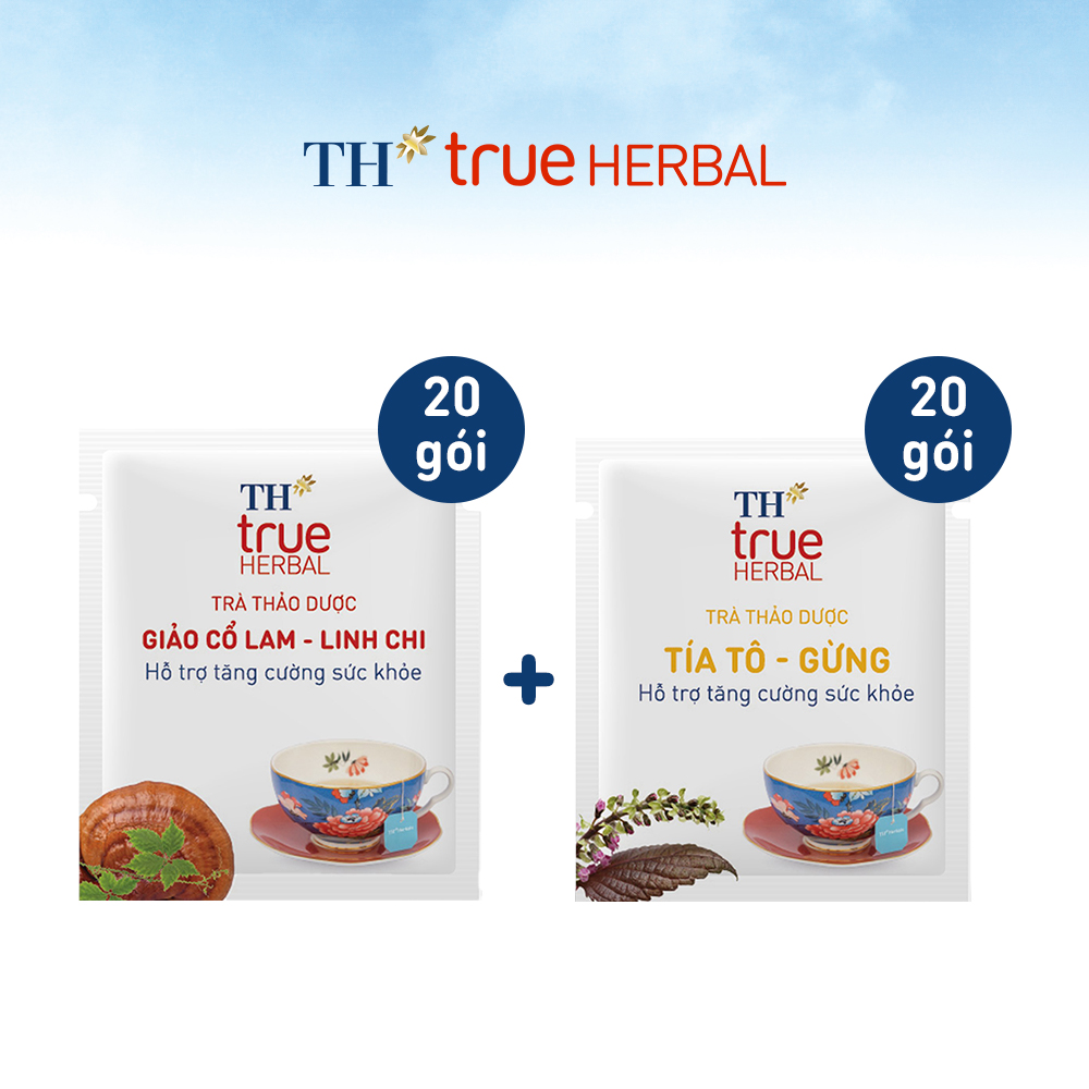 Bộ 2 hộp Trà thảo dược Giảo cổ lam – Linh chi &amp; Trà Tía tô – Gừng TH True Herbal (40 gói)