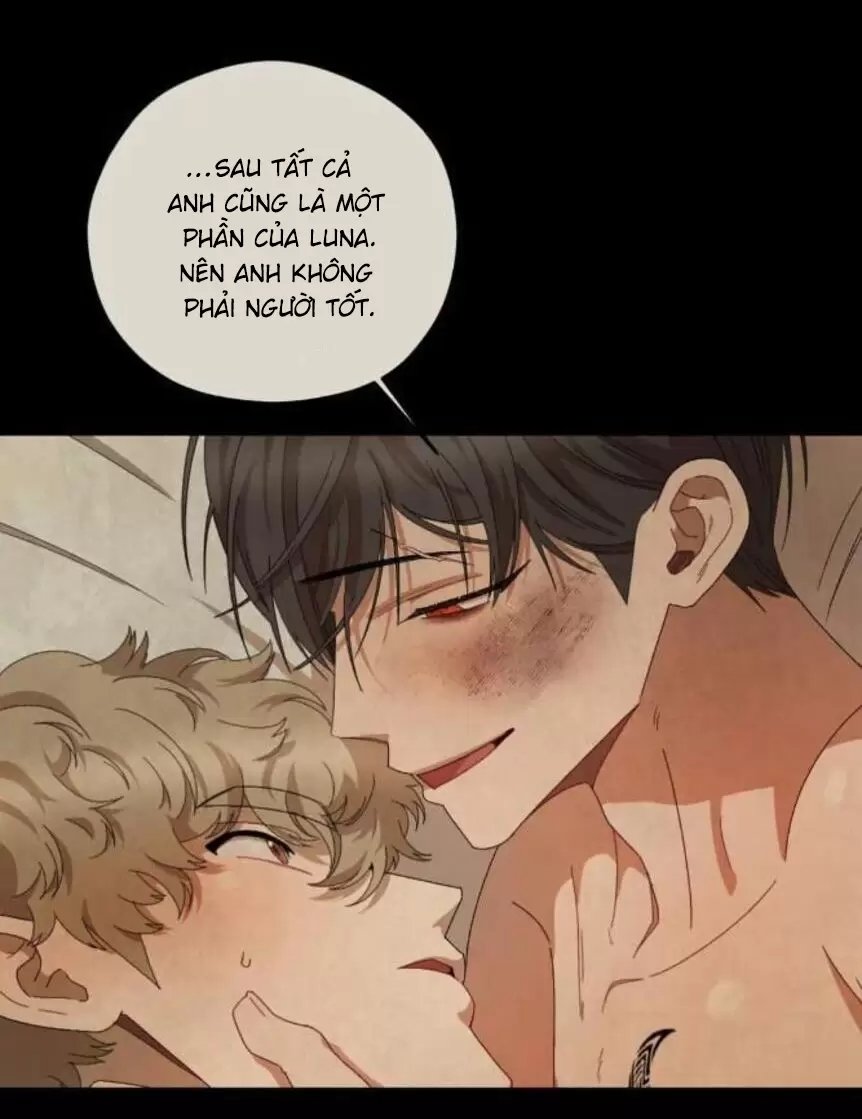 liveta chapter 33 66