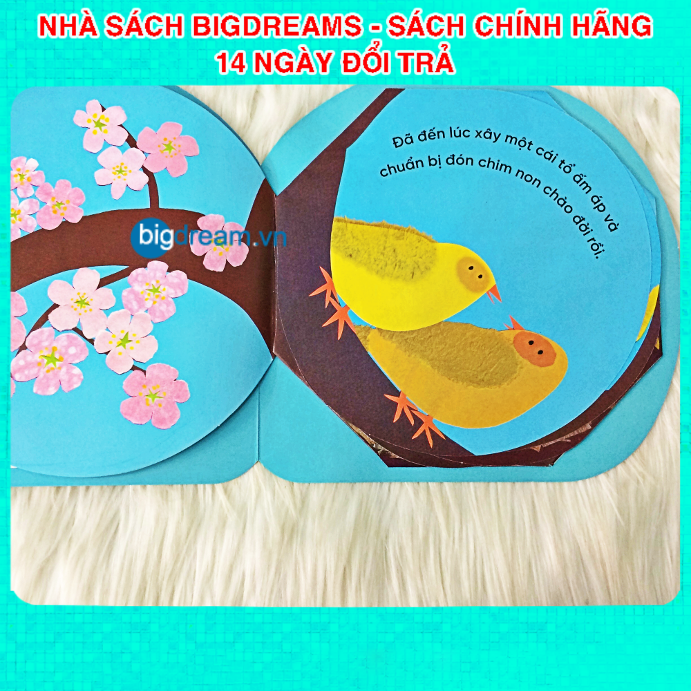 Vòng đời kỳ diệu Trứng nhỏ nở chim non - Sách Tương tác lật mở cho bé từ 3-6 tuổi