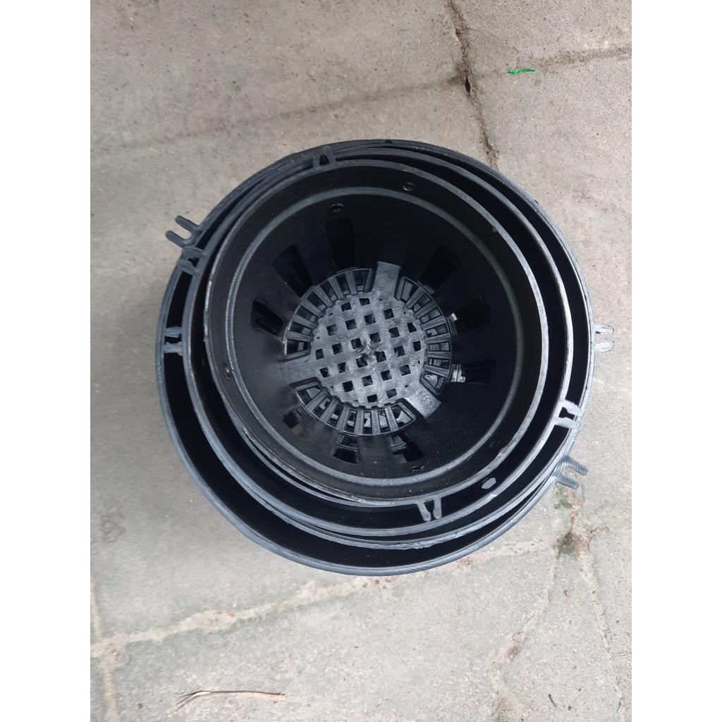 10 chậu trồng lan fi 12