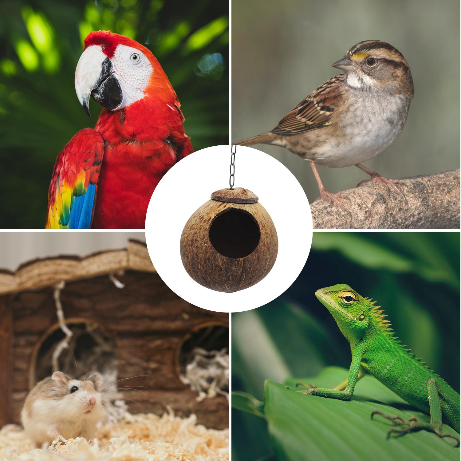 Lồng Chim Dạng Quả Dừa Có Móc Treo