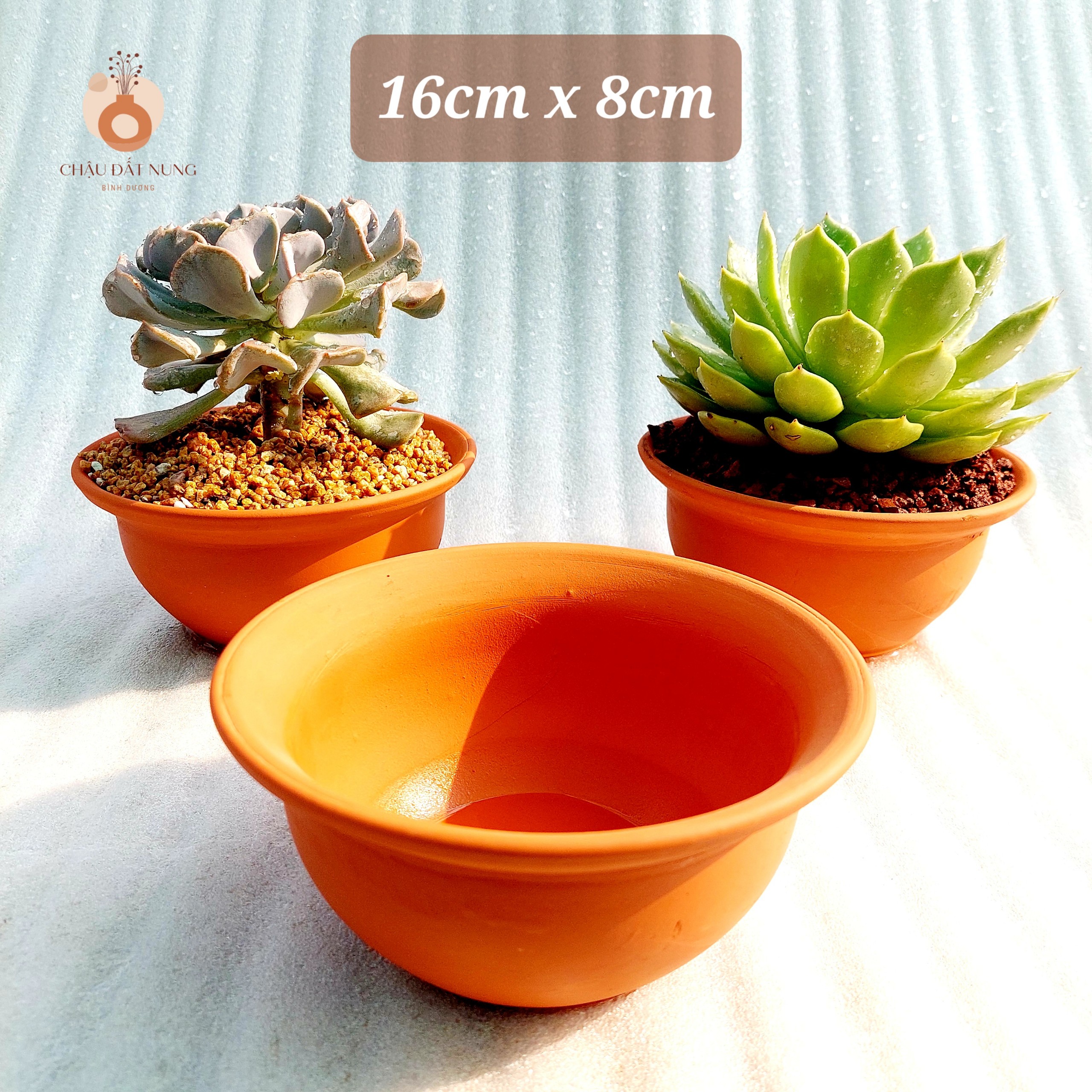 Chậu đất nung - Miệng bèo 168, miệng chậu 16cm, chiều cao 8cm