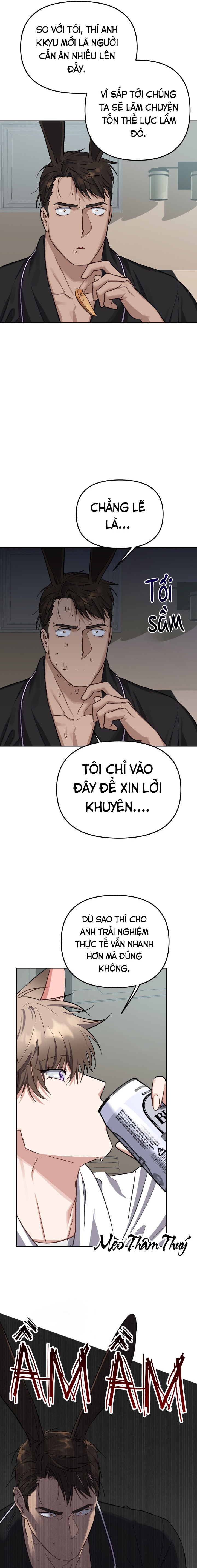 Chuyện tình giữa mèo và thỏ chapter 3