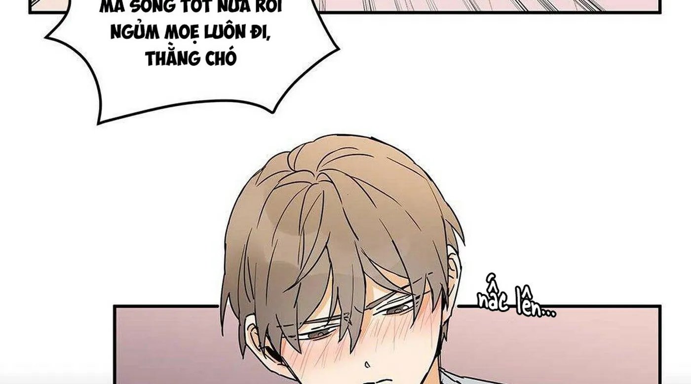 guide cấp b chapter 6 13