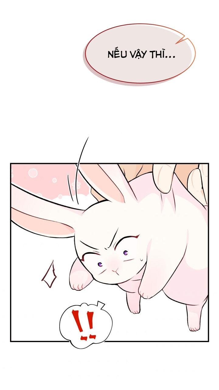 mối liên kết giữa báo đen và bé thỏ chapter 5 50