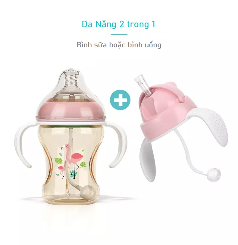 Bình Sữa Loluli PP Cổ Rộng Chống Sặc Cho Bé Chính Hãng - 300ml