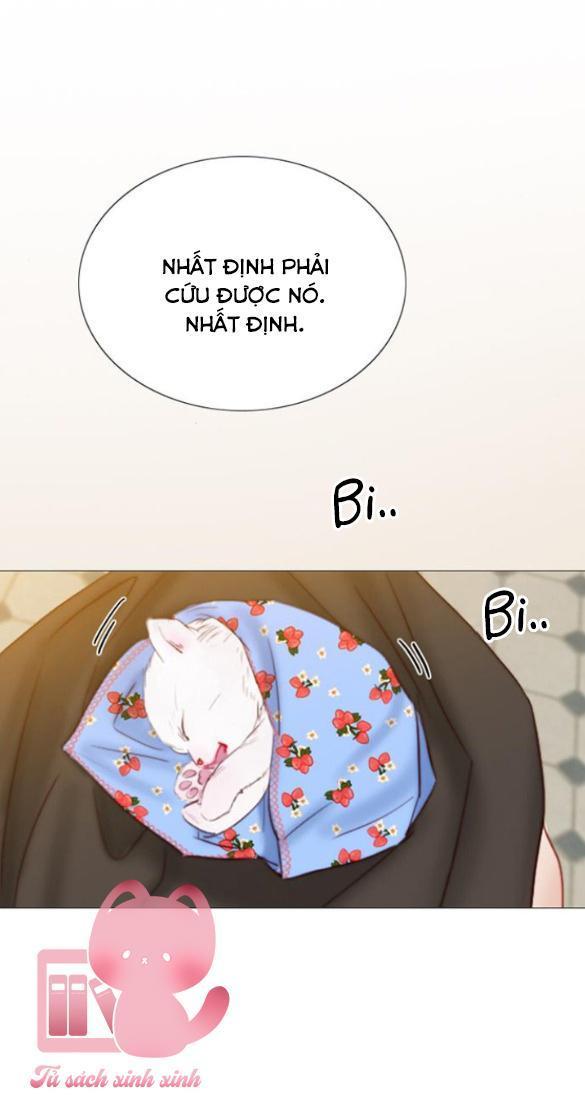 selena chapter 41 16