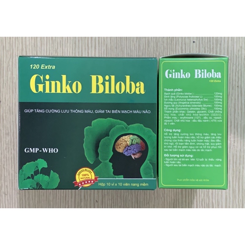 Viên uống Ginkgo Biloba 120mg Vinapharco , hộp 100v, tăng cường tuần hoàn não