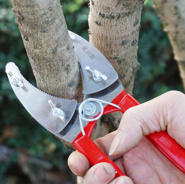 Kéo khoanh vỏ lưỡi kép răng cưa