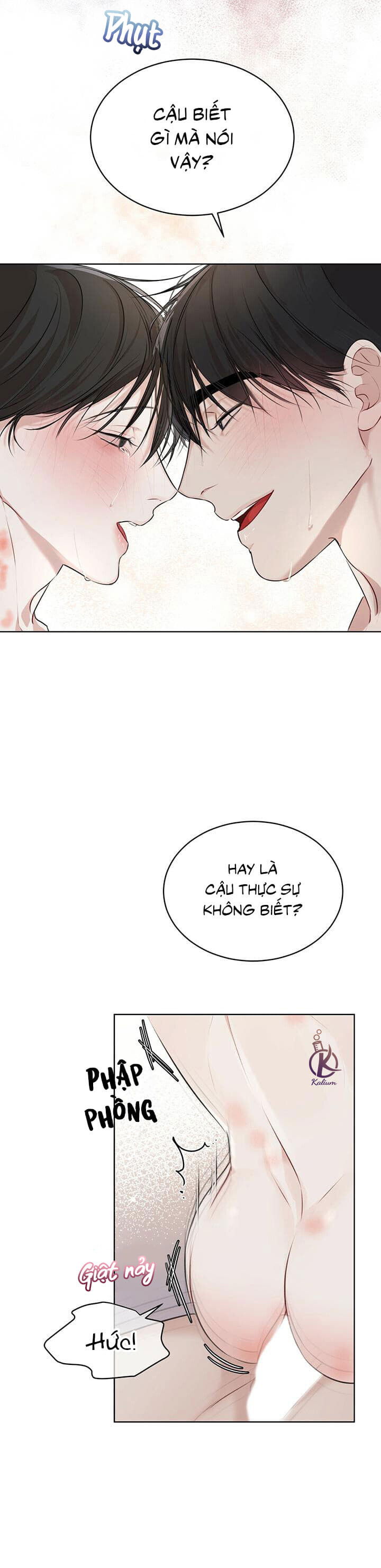 hình thái khởi sinh chapter 29 29