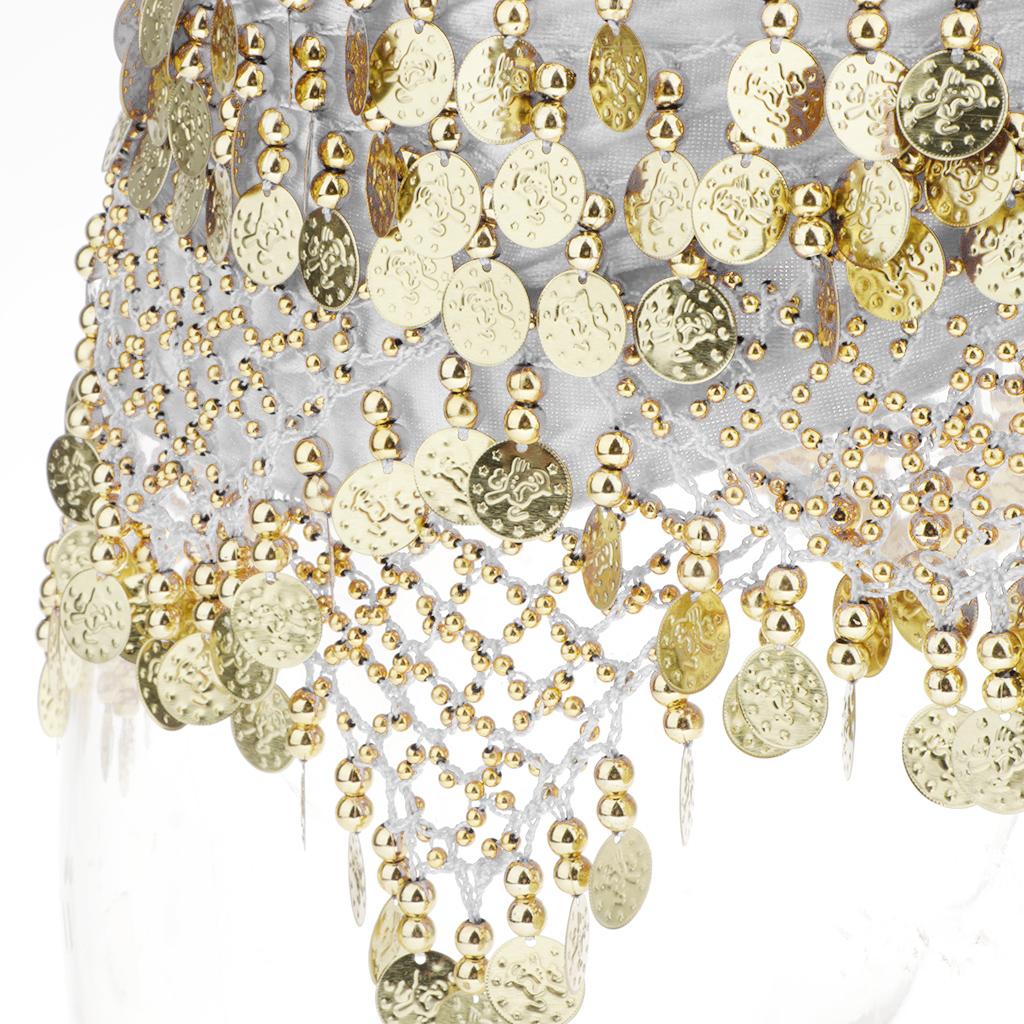 Costume Belly Dance Skirt Coin Cloth Coin Belt With 320 Coins Tassel Belly Dance Carnival Carnival