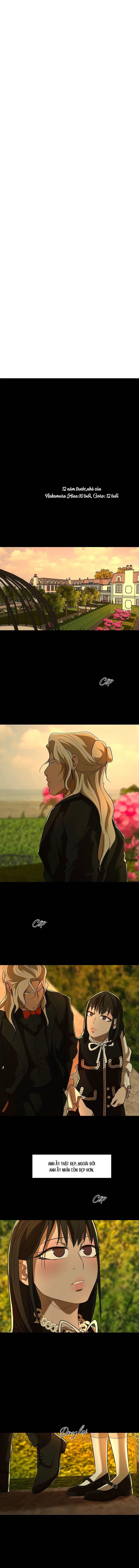 yêu phải kẻ sát nhân bóng rổ chapter 41 1