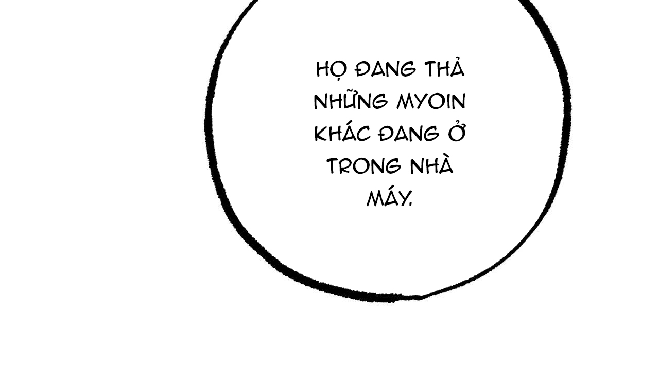 những chú thỏ của hapypy chapter 49 132