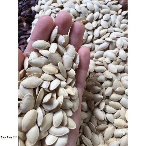 500G HẠT BÍ TRẮNG CHẮC HẠT SIZE TO THƠM NGON - ĂN VẶT