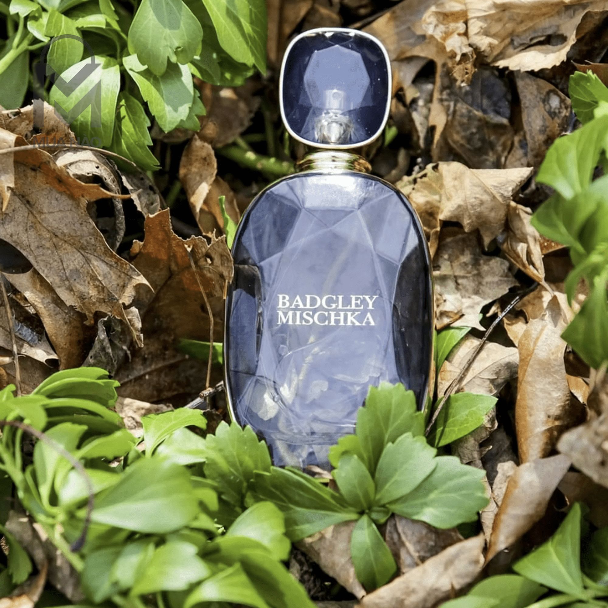 Nước hoa Badgley Mischka 100ml - Nước hoa Nữ quyến rũ hãng Badgley Mischka