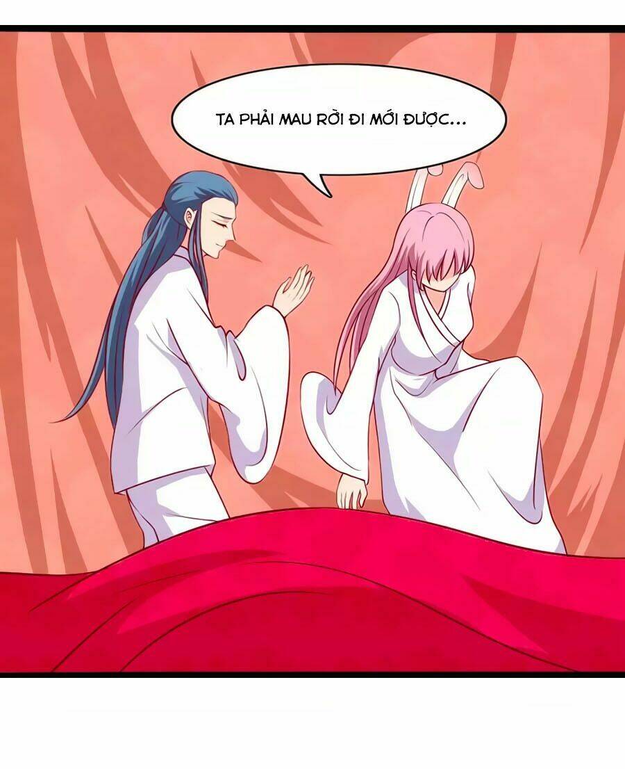 thỏ yêu tiểu vương phi chapter 77 12