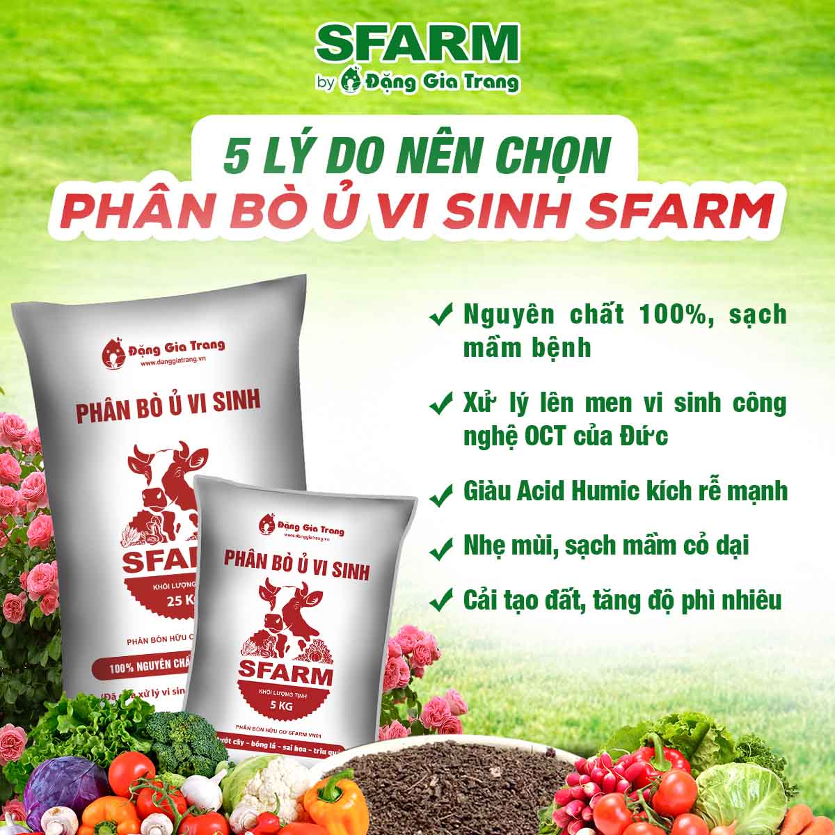 Phân bò hữu cơ vi sinh Sfarm 25kg